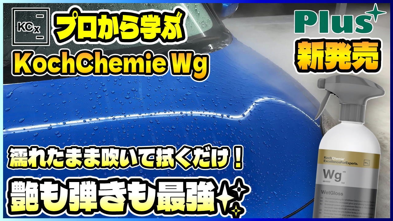 【Wg】ウェットグロス500ml｜コッホケミー